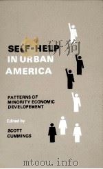 SELF-HELP IN URBAN AMERICA PATTERNS OF MINORITY ECONOMIC DEVELOPMENT   1980  PDF电子版封面  0804692513   