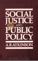 SOCIAL JUSTICE AND PUBLIC POLICY   1982  PDF电子版封面  0262010674  A.B.ATKINSON 