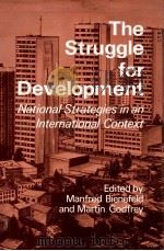 THE STRUGGLE FOR DEVELOPMENT NATIONAL STRATEGIES IN AN INTERNATIONAL CONTEXT（1982 PDF版）