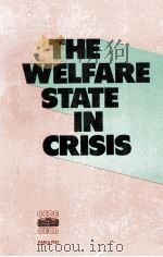 THE WELFARE ATATE IN CRISIS     PDF电子版封面  9264121927   