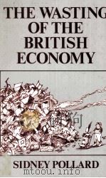 THE WASTTING OF THE BRITISH ECONOMY   1982  PDF电子版封面  0312856504   