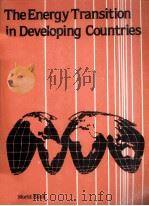 THE ENERGY TRANSITION IN DEVELOPING COUNTRIES（1983 PDF版）