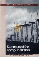 ECONOMICS OF THE ENERGY INDUSTRIES（1985 PDF版）