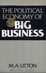 THE POLITICAL ECONOMY OF BIG BUSINESS   1982  PDF电子版封面  0855204095  M.A.UTTON 