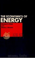 THE ECONOMICS OF ENERGY   1980  PDF电子版封面  0333244966   
