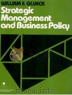 STRATEGIC MANAGEMENT AND BUSINESS POLICY（1980 PDF版）