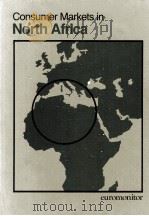 CONSUMER MRKETS IN NORTH AFRICA   1984  PDF电子版封面  0863380379   