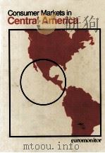 CONSUMER MARKETS IN CENTRAL AMERICA   1984  PDF电子版封面  0863380727   