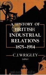 A HISTORY OF BRITISH INDUSTRIAL RELATIONS 1875-1914   1982  PDF电子版封面  0710803168  CHRIS WRIGLEY 