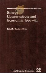 ENERGY CONSERVATION AND ECONOMIC GROWTH   1978  PDF电子版封面  0891583548   