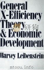GENERAL X-EFFICIENCY THEORY AND ECONOMIC DEVELOPMENT   1978  PDF电子版封面  0195023803  HARVEY LEIBENSTEIN 