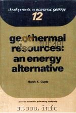 GEOTHERMAL RESOURCES:AN ENERGY ALTERNATIVE   1980  PDF电子版封面  0444418652   