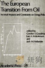 THE EUROPEAN TRANSITION FROM OIL:SOCIETAL IMPACTS AND CONSTRAINTS ON ENERGY POLICY（1981 PDF版）