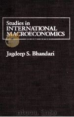 STUDIES IN INTERNATIONAL MACROECONOMICS   1987  PDF电子版封面  0275920879   