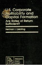 U.S.CORPORATE PROFITABILITY AND CAPITAL FORMATION:ARE RATES OF RETURN SUFFICIENT?（1980 PDF版）