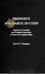 PROPERTY AND PARTICIPATION   1983  PDF电子版封面    DAVID J.TOSCANO 