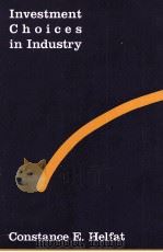 INVESTMENT CHOICES IN INDUSTRY   1988  PDF电子版封面  026208175X   