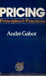 PRICING PRINCIPLES PRACTICES   1977  PDF电子版封面  0435843664  ANDRE GABOR 