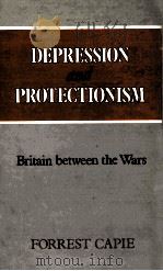 DEPRESSION AND PROTECTIONISM:BRITAIN BETWEEN THE WARS   1983  PDF电子版封面  0043303706  FORREST CAPIE 