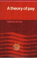 A THEORY OF PAY   1978  PDF电子版封面  0521220734  ADRIAN WOOD 