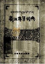 藏汉佛学词典  藏文   1986  PDF电子版封面    西北民族学院民族研究所 