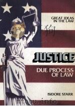 JUSTICE:DUE PROCESS OF LAW   1981  PDF电子版封面  0829910204   