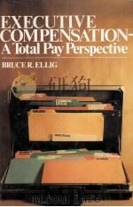 EXECUTIVE COMPENSATION-A TOTAL PAY PERSPECTIVE   1982  PDF电子版封面  0070191441   
