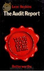 THE AUDIT REPORT（1984 PDF版）