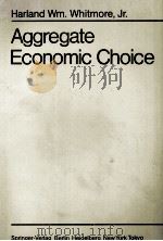 AGGEGATE ECONOMIC CHOICE（1986 PDF版）