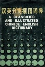 A CLASSIFIED AND ILLUSTRATED CHINESE-ENGLISH DICTIONARY   1981  PDF电子版封面     