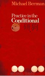 PRACTICAL IN THE CONDITIONAL   1978  PDF电子版封面    MICHAEL BERMAN 