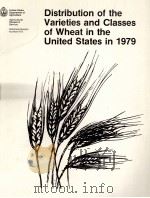 DISTRIBUTION OF THE VARIETIES AND CLASSES OF WHEAT IN THE UNITED STATES IN 1979   1982  PDF电子版封面     