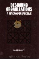 DESIGING ORGANIZATIONS:A MACRO PERSPECTIVE   1981  PDF电子版封面  0256025134  DANIEL ROBEY 