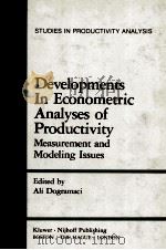 DEVELOPMENTS IN ECONOMETRIC ANALYSES OF PRODUCTIVITY   1982  PDF电子版封面  0898381010  A.DOGRAMACI 