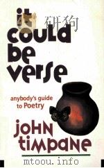 IT COULD BE VERSE:ANYBODY'GUIDE TO POETRY   1993  PDF电子版封面  0898157773  JOHN TIMPANE 
