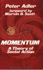 MOMENTUM:A THEORY OF SOCIAL ACTION   1981  PDF电子版封面  0803913079   