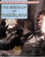 THE BREAKUP OF YUGOSLAVIA（1993 PDF版）