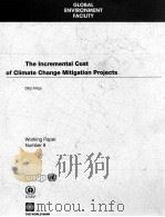 THE INCREMENTAL COST OF CLIMATE CHANGE MITIGATION PROJECTS（1993 PDF版）