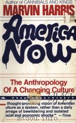 AMERICA NOW THE ANTHROPOLGY OF A CHANGING CULTURE   1981  PDF电子版封面  0671457012  MARVIN HARRIS 