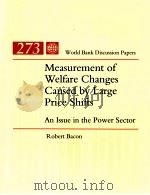 MEASUREMENT OF WELFARE CHANGES CAUSED BY LARGE PRICE SHIFTS AN ISSUE IN THE POWER SECTOR   1994  PDF电子版封面  0821331558  ROBERT BACON 