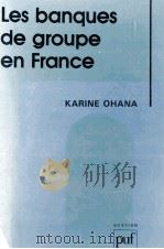 LES BANQUES DE GROUPE EN FRANCE   1991  PDF电子版封面  2130434150   