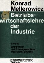 BETRIEBSWIRTSCHAFTSLEHRE DER INDUSTRIE   1981  PDF电子版封面     