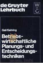 BETRIEBS-WIRTSCHAFTLICHE PLANUNGS-UND ENTSCHEIDUNGS-TECHNIKEN   1981  PDF电子版封面     