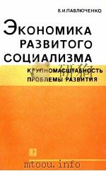 ЭКОНОМИКА РАЗВИТОГО СОЦИАЛИЗМА КРЕПНОМАСШТАБНОСТЬ ПРОБЛЕМЫ РАЗВИТИЯ   1983  PDF电子版封面    В. И. ПАВЛЮЧЕНКО 