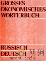 GROβES ?KONOMISCHES W?RTERBUCH RUSSISCH-DEUTSCH   1983  PDF电子版封面     