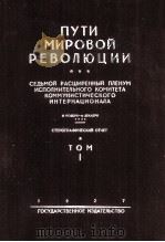 ПУТИ МИРОВОЙ РЕВОЛЮЦИИ ТОМ I（1927 PDF版）