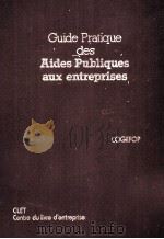 GUIDE PRATIQUE DES AIDES PUBLIQUES AUX ENTREPRISES     PDF电子版封面    COGEFOP 