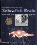 NEUROANATOMY OF THE ZEBRAFISH BRAIN A TOPOLOGICAL ATLAS（1996 PDF版）