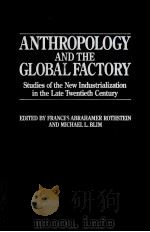 ANTHROPOLOGY AND THE GLOBAL FACTORY   1992  PDF电子版封面  089789233X   