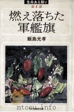 燃え落ちた軍艦旗   1991.01  PDF电子版封面    飯島光孝 